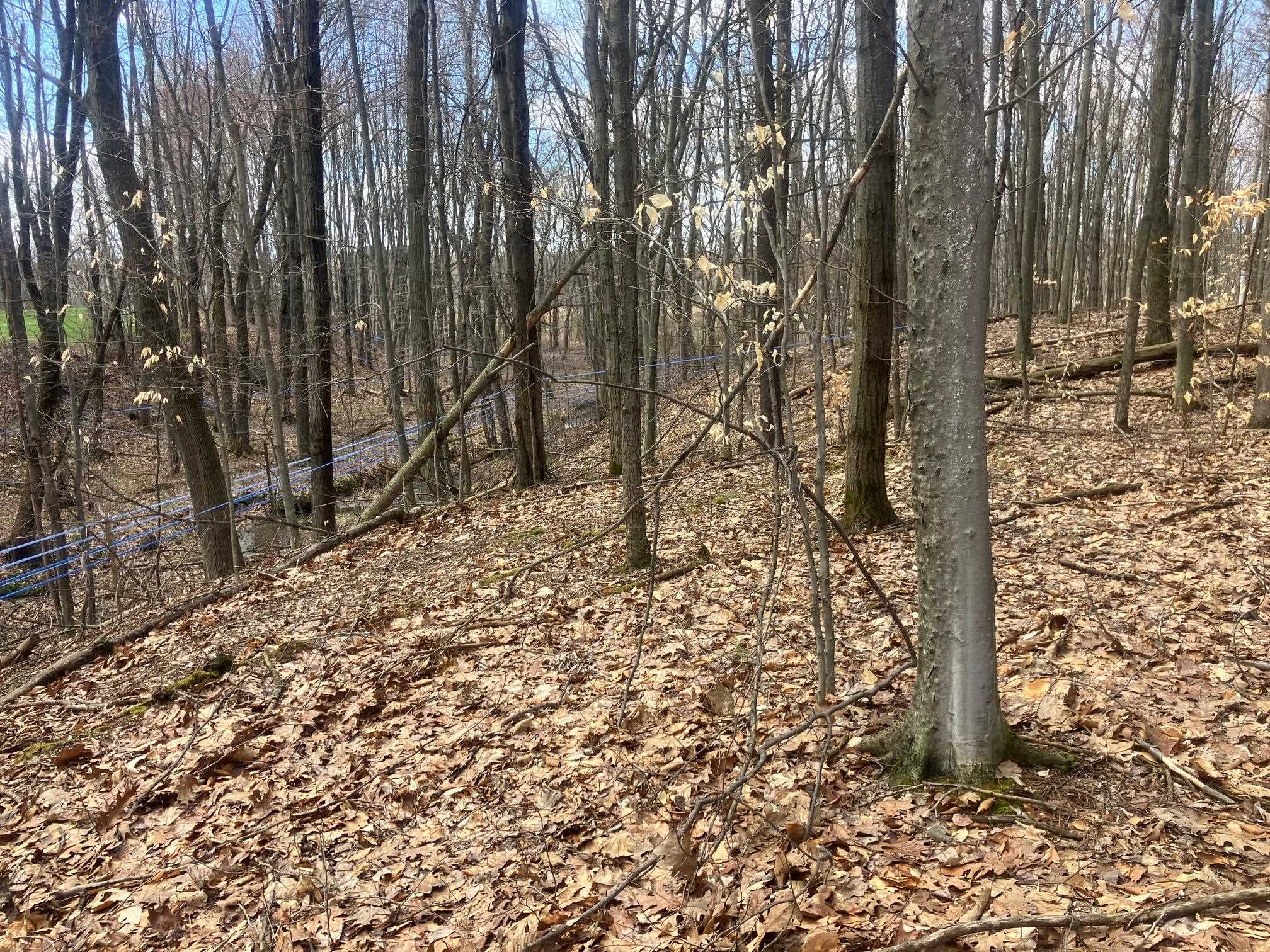 74 Jedware Circle, Unit LOT 102 Swanton, VT 05488 - Photo 3 of 15