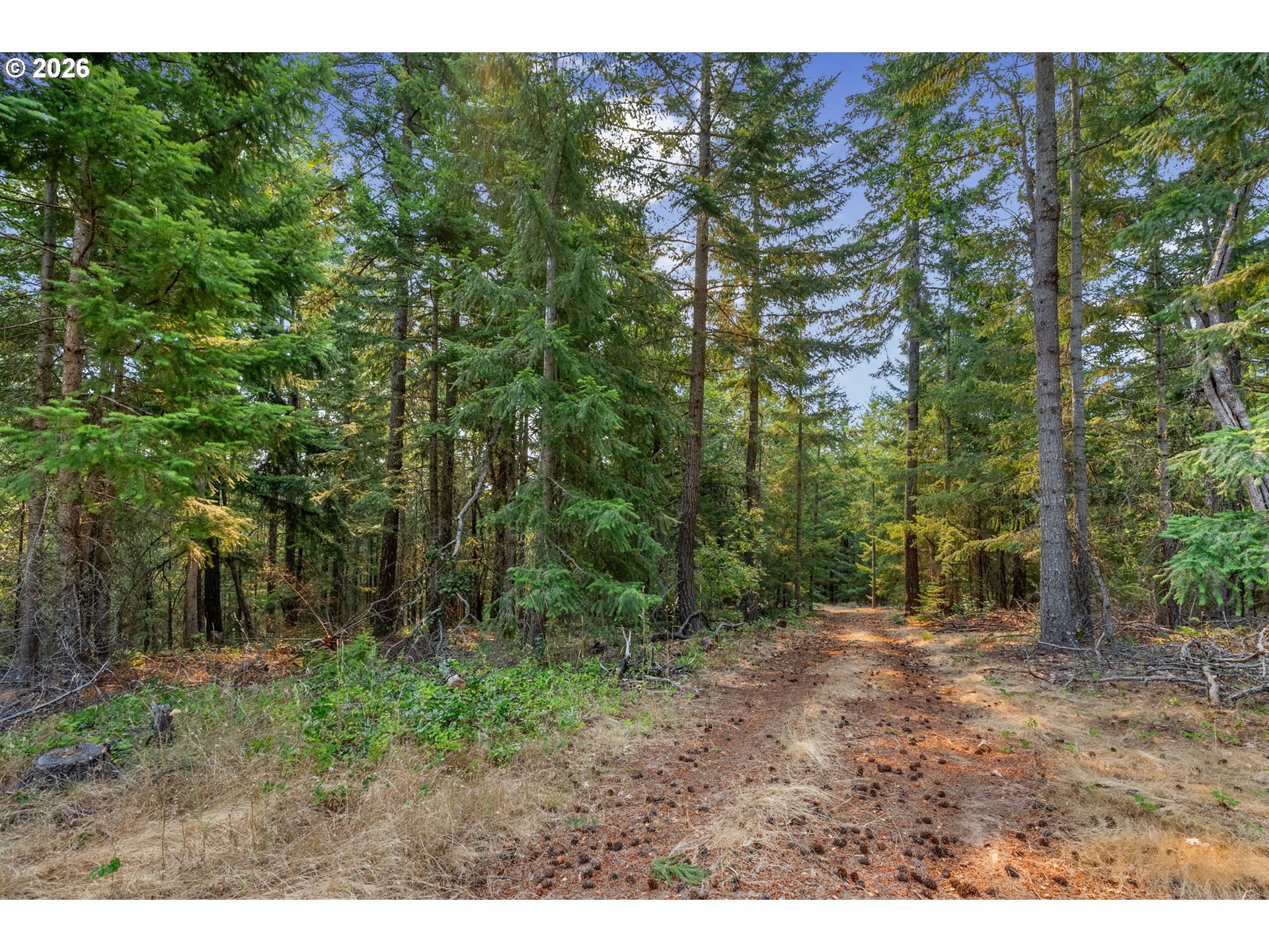 Lyle Snowden Road Lyle, WA 98635 - Photo 16 of 36 Gallery Image 16