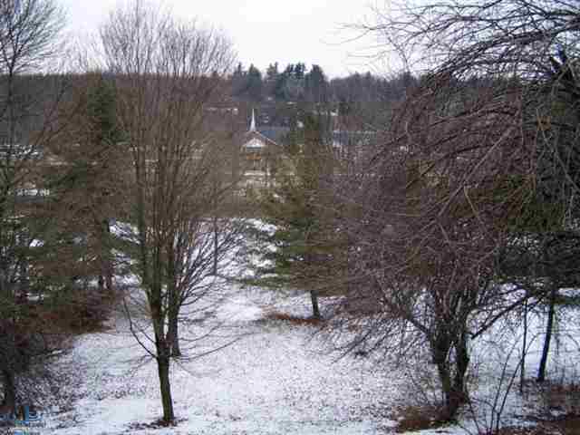 4970 Atkins Road North Street, MI 48049 - Photo 26 of 27 31135580-26.JPG