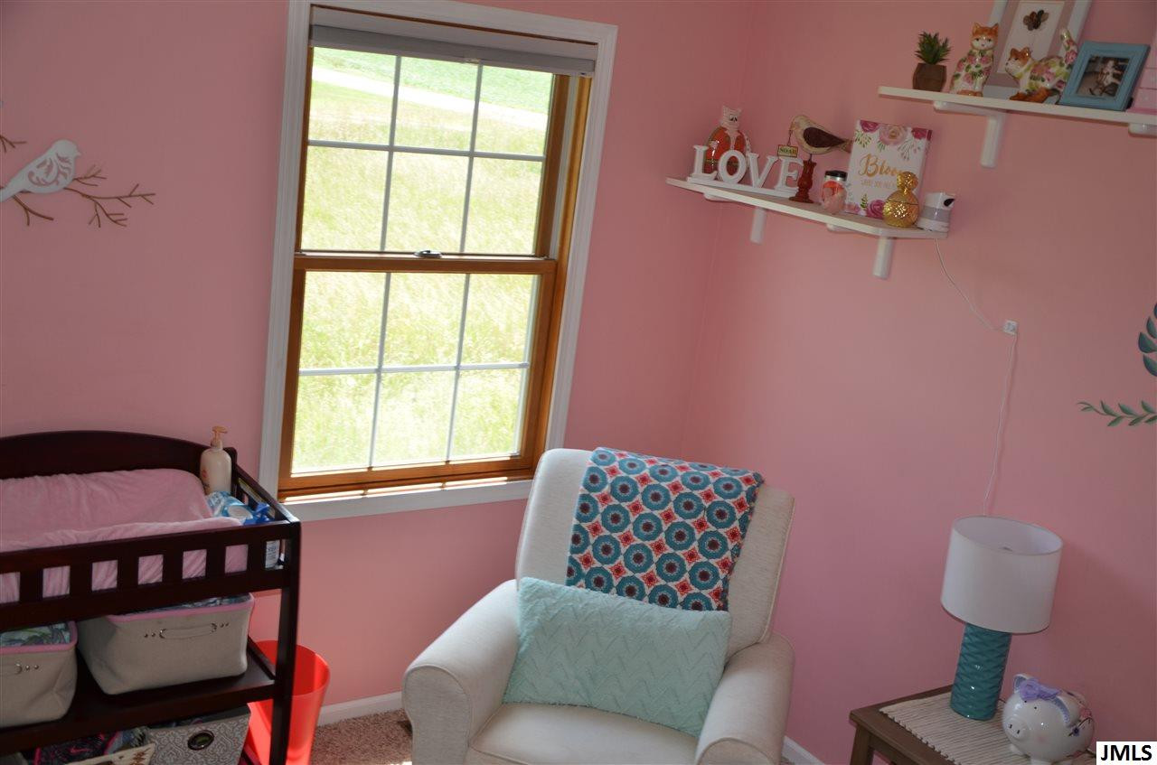 12005 Hayes Road Brooklyn, MI 49230 - Photo 11 of 28 Photo 11