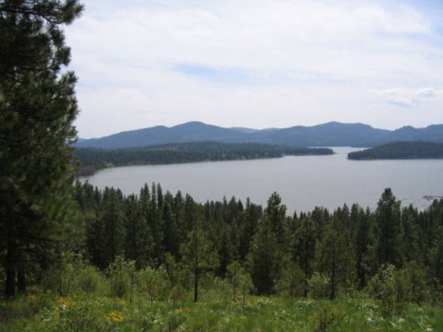 Lot 12 Bridge Creek Road Keller, WA 99140 - Photo 1 of 6 Gallery Image 1