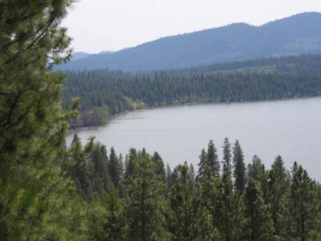 Lot 12 Bridge Creek Road Keller, WA 99140 - Photo 3 of 6 Gallery Image 3