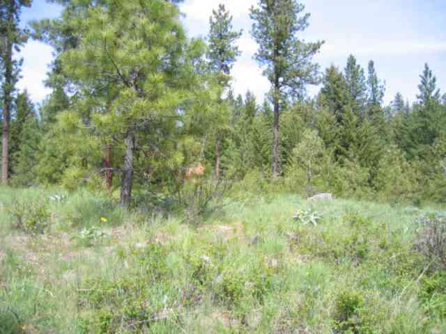 Lot 12 Bridge Creek Road Keller, WA 99140 - Photo 4 of 6 Gallery Image 4
