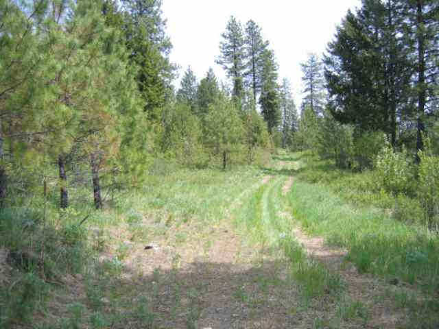 Lot 12 Bridge Creek Road Keller, WA 99140 - Photo 5 of 6 Gallery Image 5