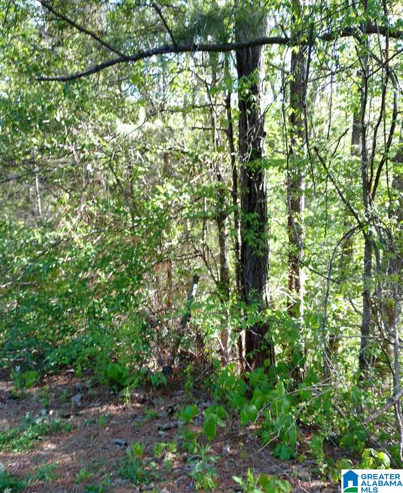 1055 Lynnwood Road Sylacauga, AL 35150 - Photo 17 of 28