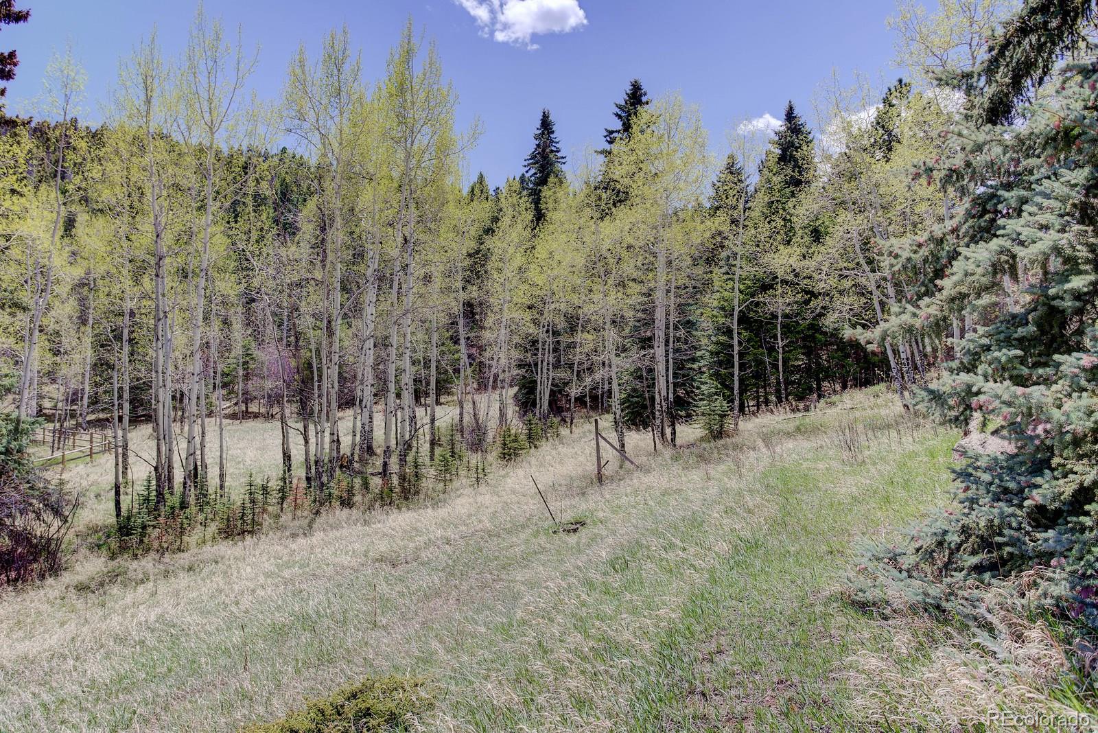 27436 Kennedy Gulch Road Conifer, CO 80433 - Photo 11 of 35