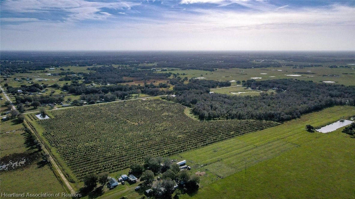 Hampton Road Wauchula, FL 33873 - Photo 1 of 7 Gallery Image 1