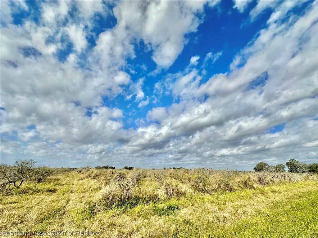 Hampton Road Wauchula, FL 33873 - Photo 6 of 7 Gallery Image 6