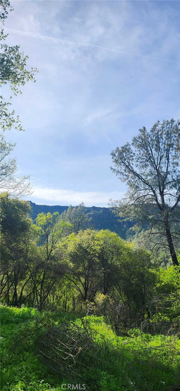 13566 Helltown Road Chico, CA 95928 - Photo 11 of 23 a view of a lake with a yard