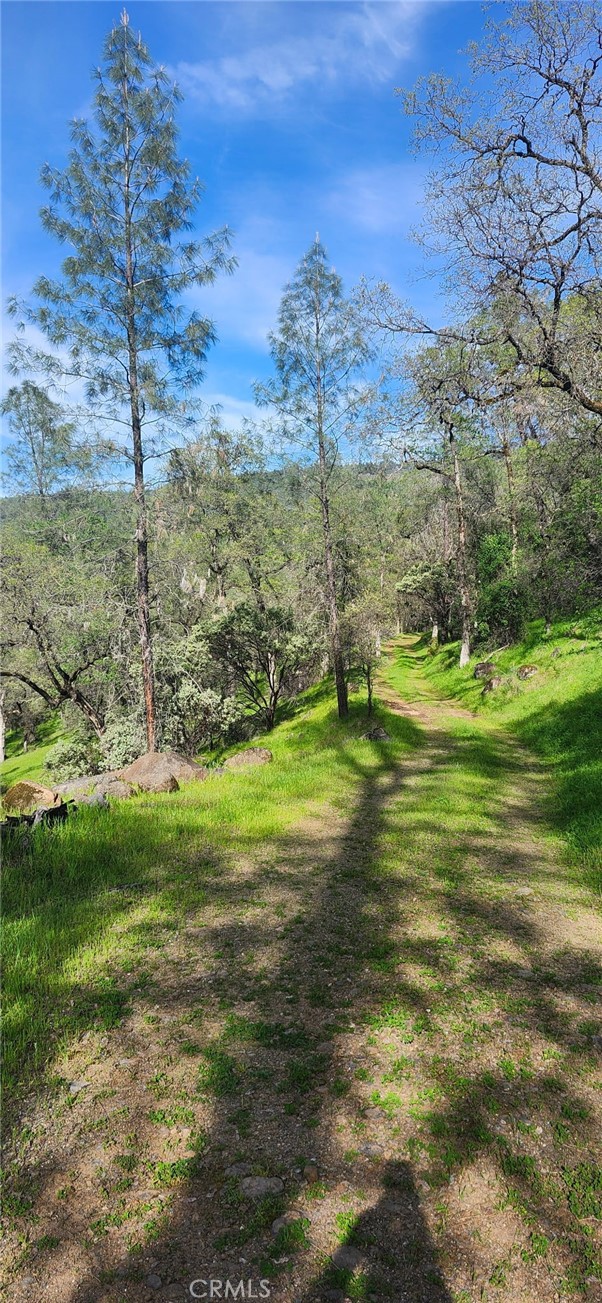 13566 Helltown Road Chico, CA 95928 - Photo 19 of 23 a view of a grassy area with an ocean