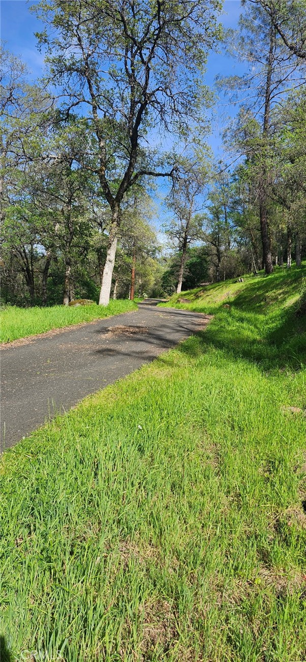 13566 Helltown Road Chico, CA 95928 - Photo 7 of 23 a view of yard with green space