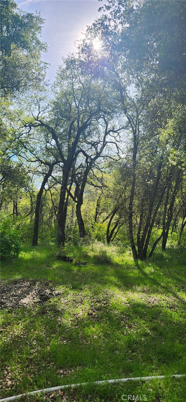 13566 Helltown Road Chico, CA 95928 - Photo 9 of 23 a view of outdoor space and yard