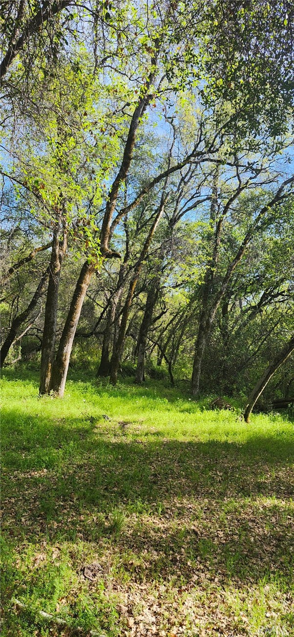13566 Helltown Road Chico, CA 95928 - Photo 10 of 23 a view of a golf course with a yard