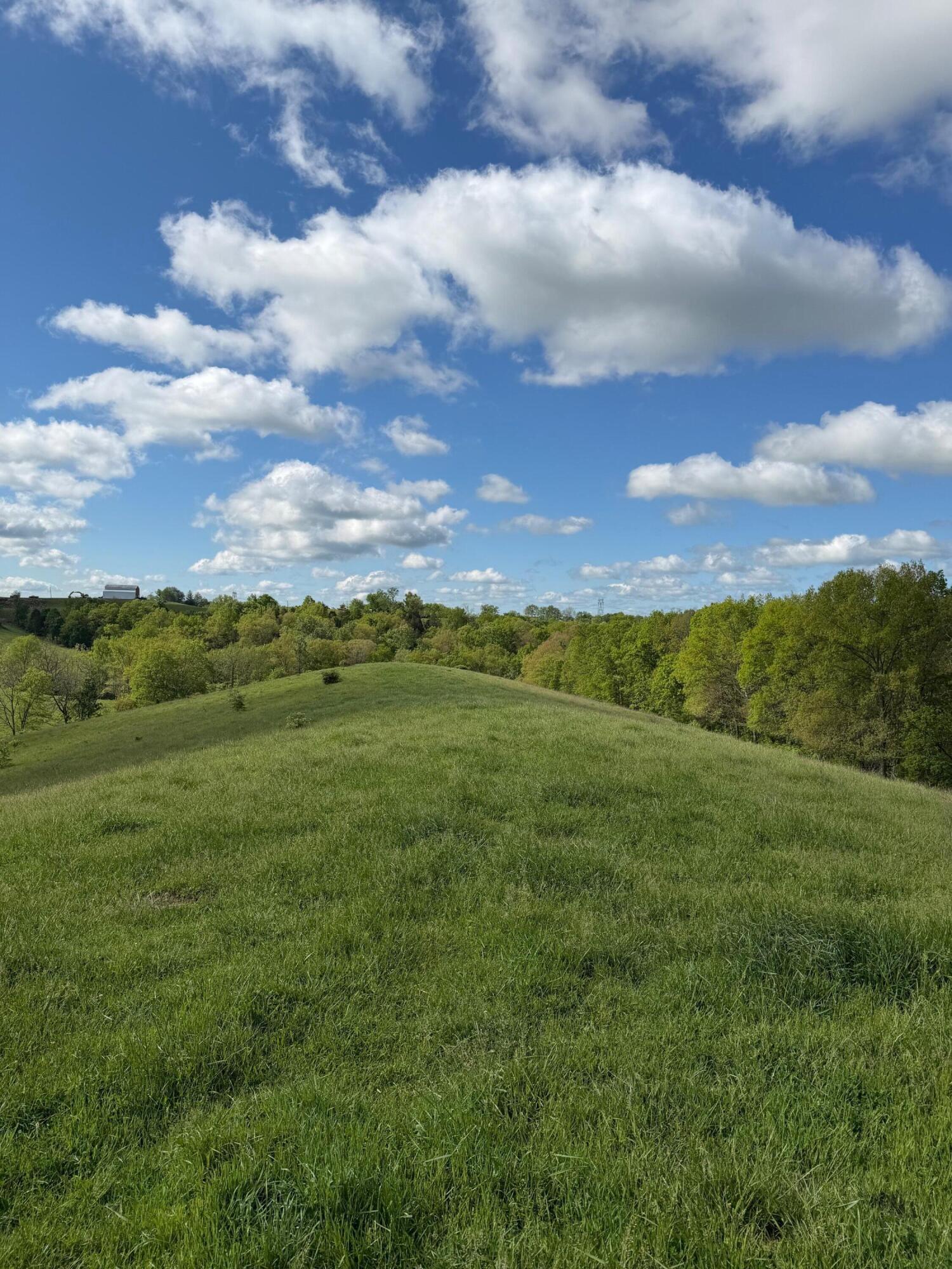 14.17-ac Chipman Ridge Road Williamstown, KY 41097 - Photo 6 of 18