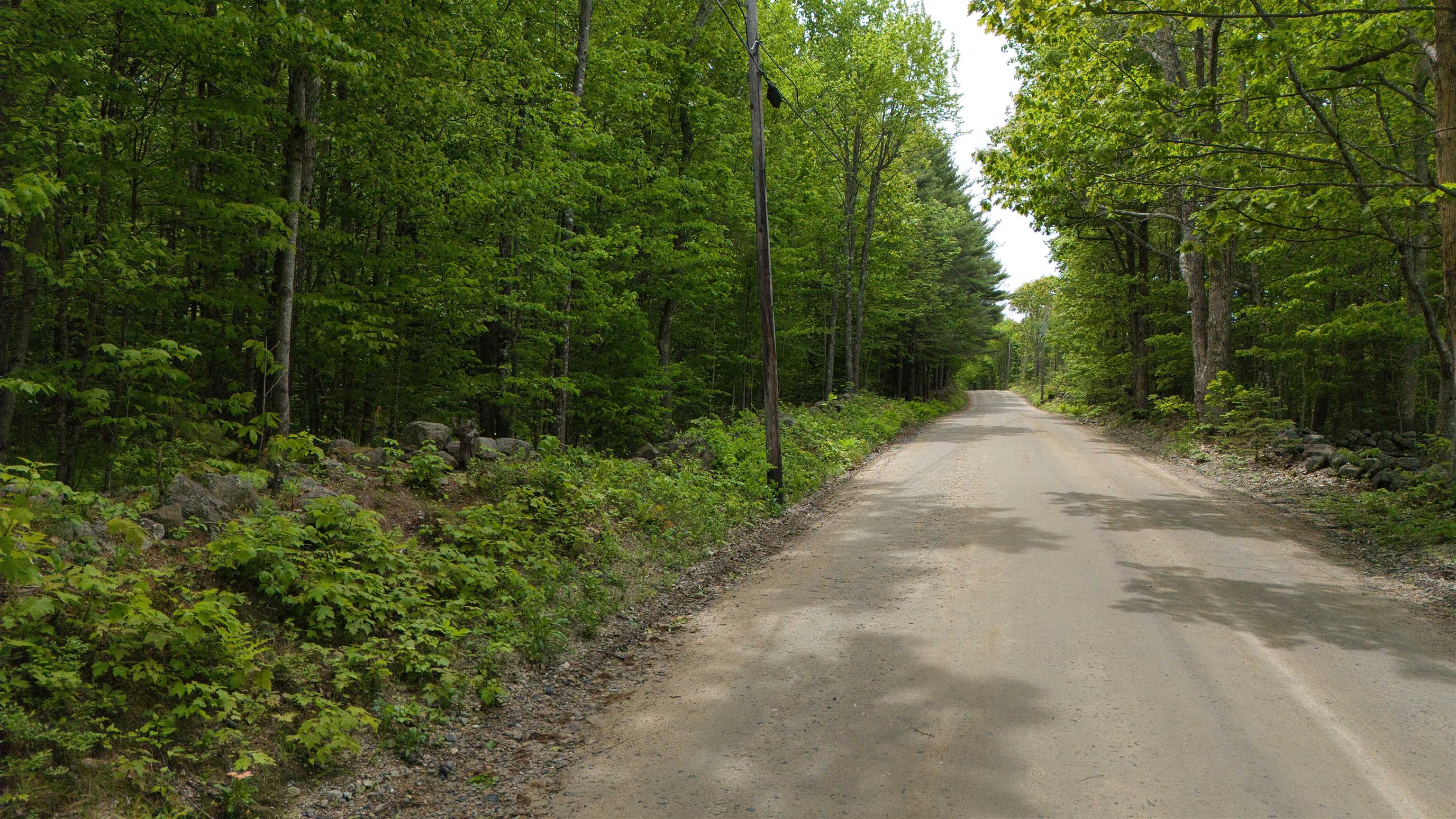 Lot 13 Beach Pond Road Wolfeboro, NH 03894 - Photo 15 of 17