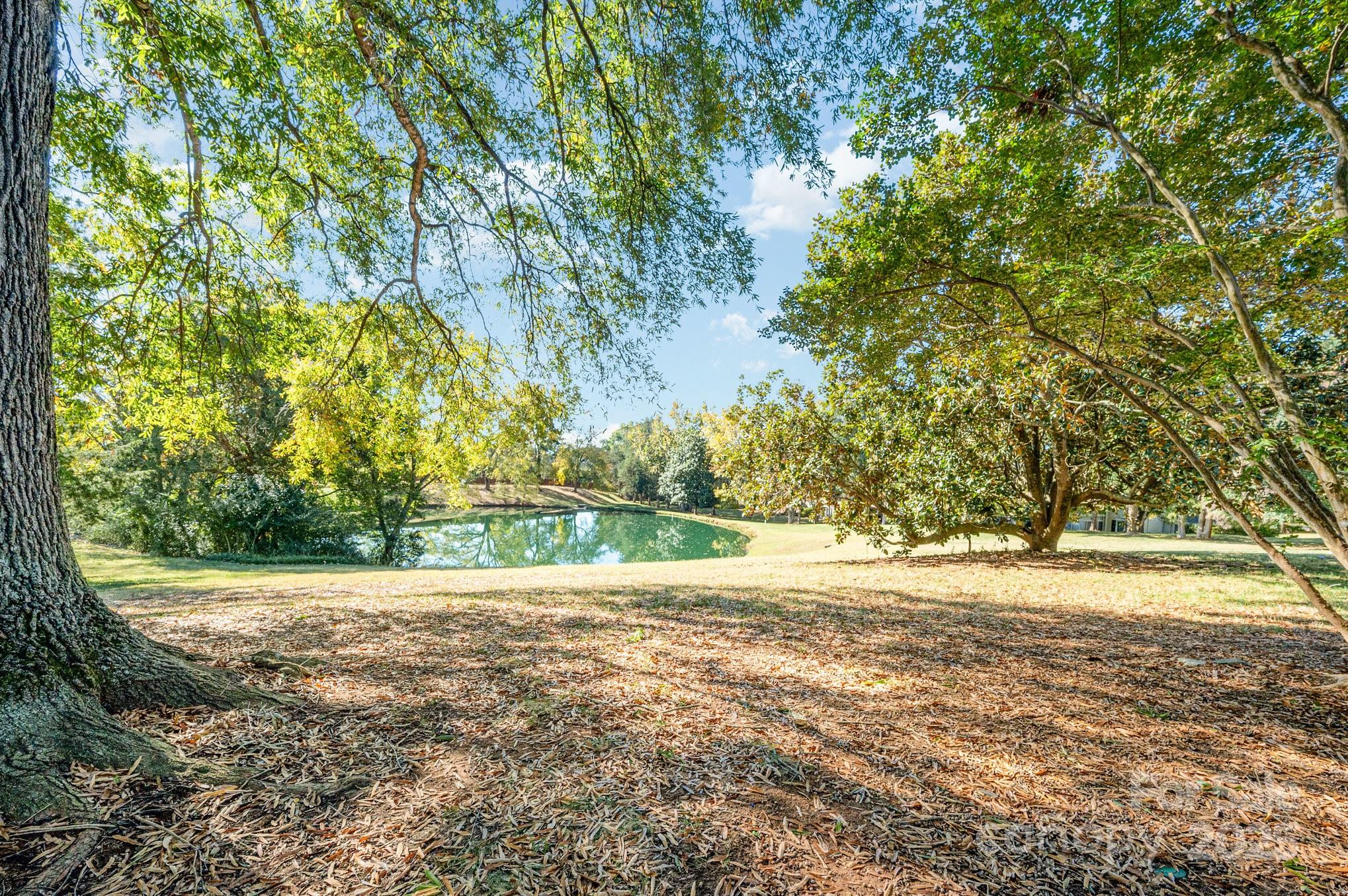 7047 Quail Hill Road Charlotte, NC 28210 - Photo 26 of 29 a view of a yard with a tree