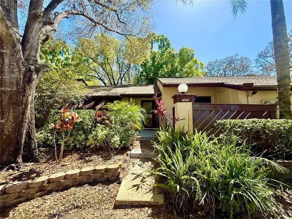 a view of a backyard with plants