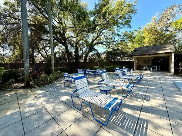 a view of backyard with seating area and trees