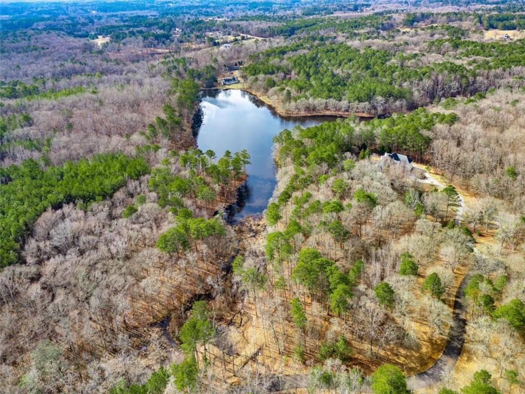 467 Rivers Road Fayetteville, GA 30214 - Photo 18 of 19 a view of a lake with large trees