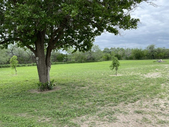 0 State Highway Realitos, TX 78376 - Photo 2 of 18