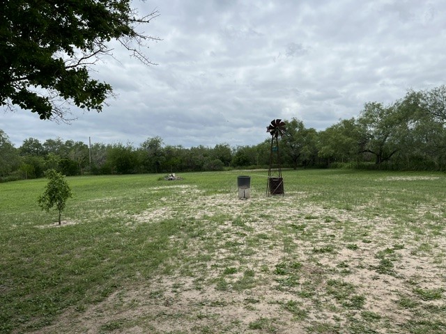 0 State Highway Realitos, TX 78376 - Photo 3 of 18