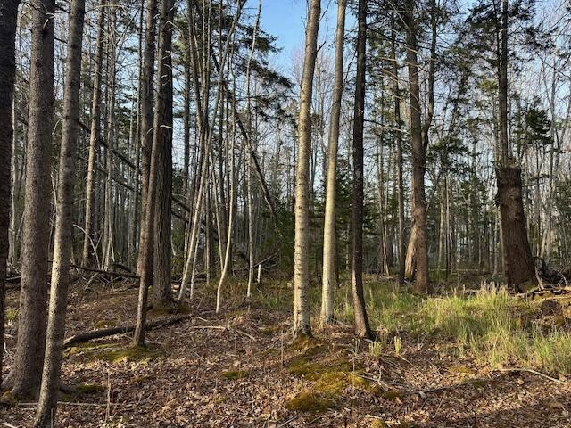 0 Harbor Road Camden, ME 04843 - Photo 8 of 11 IMG_9270