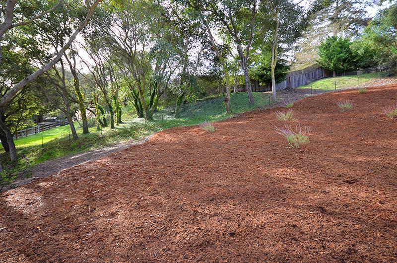 386 Hames Road Corralitos, CA 95076 - Photo 11 of 11 a view of a yard with tree s