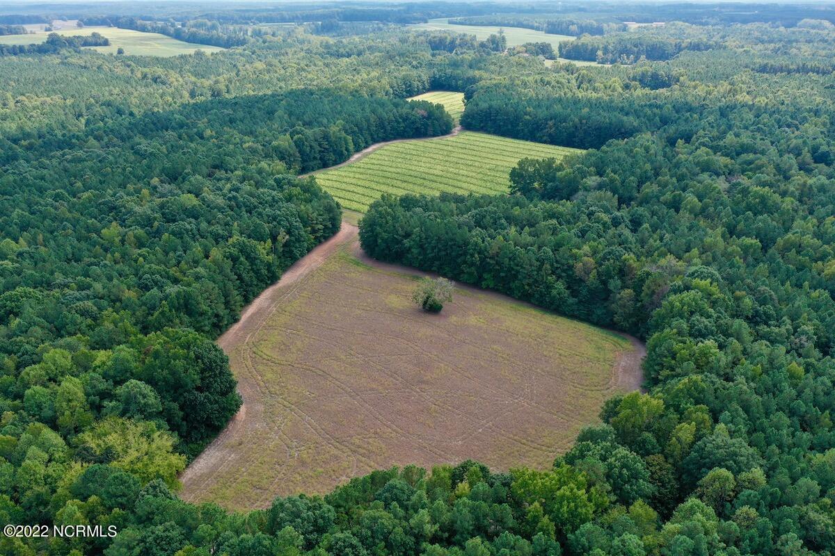 0 Peter Stallings Road Macon, NC 27551 - Photo 7 of 50 DJI_0850