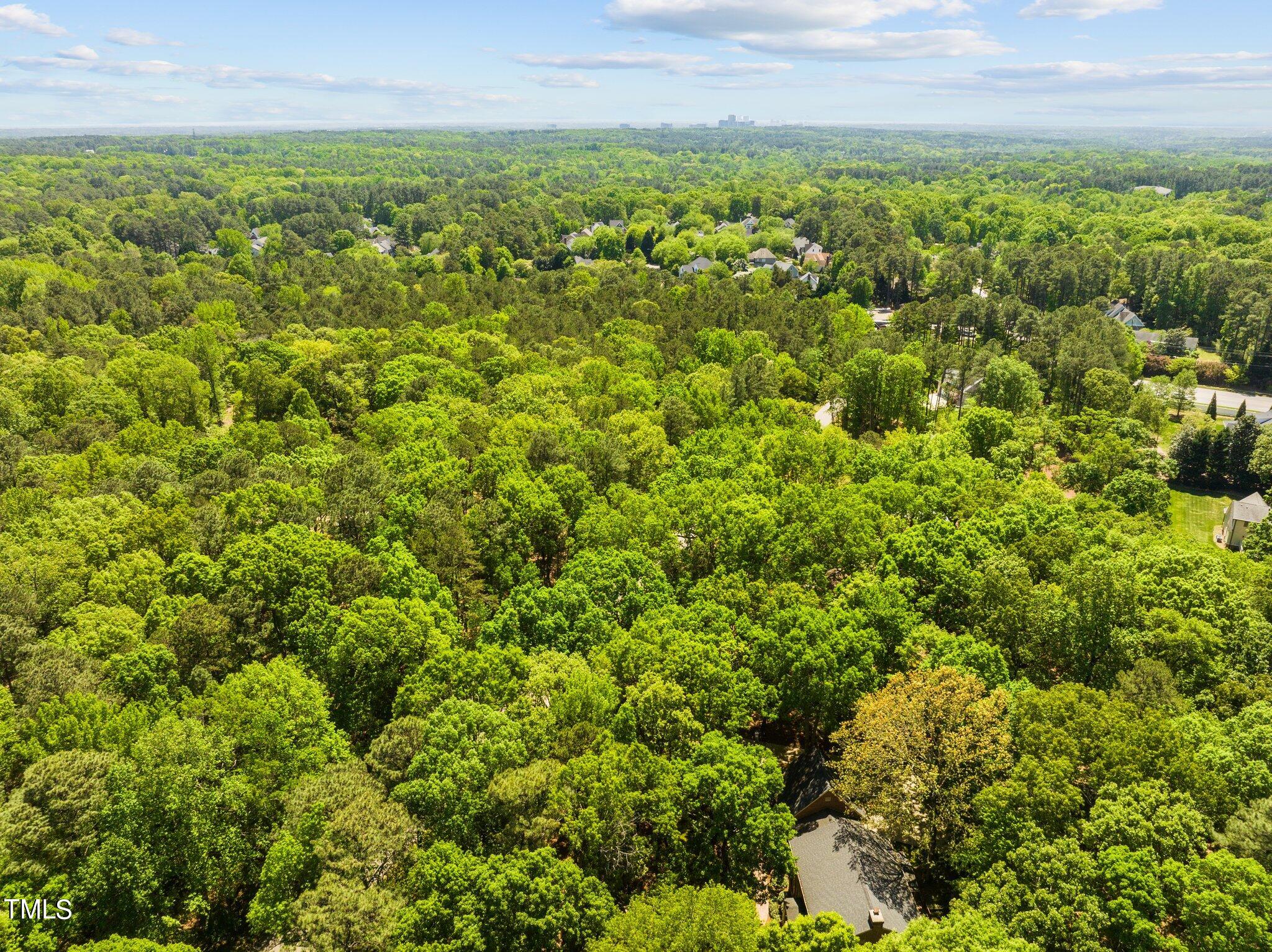 8413 Bournemouth Drive Raleigh, NC 27615 - Photo 90 of 94 a view of a green field