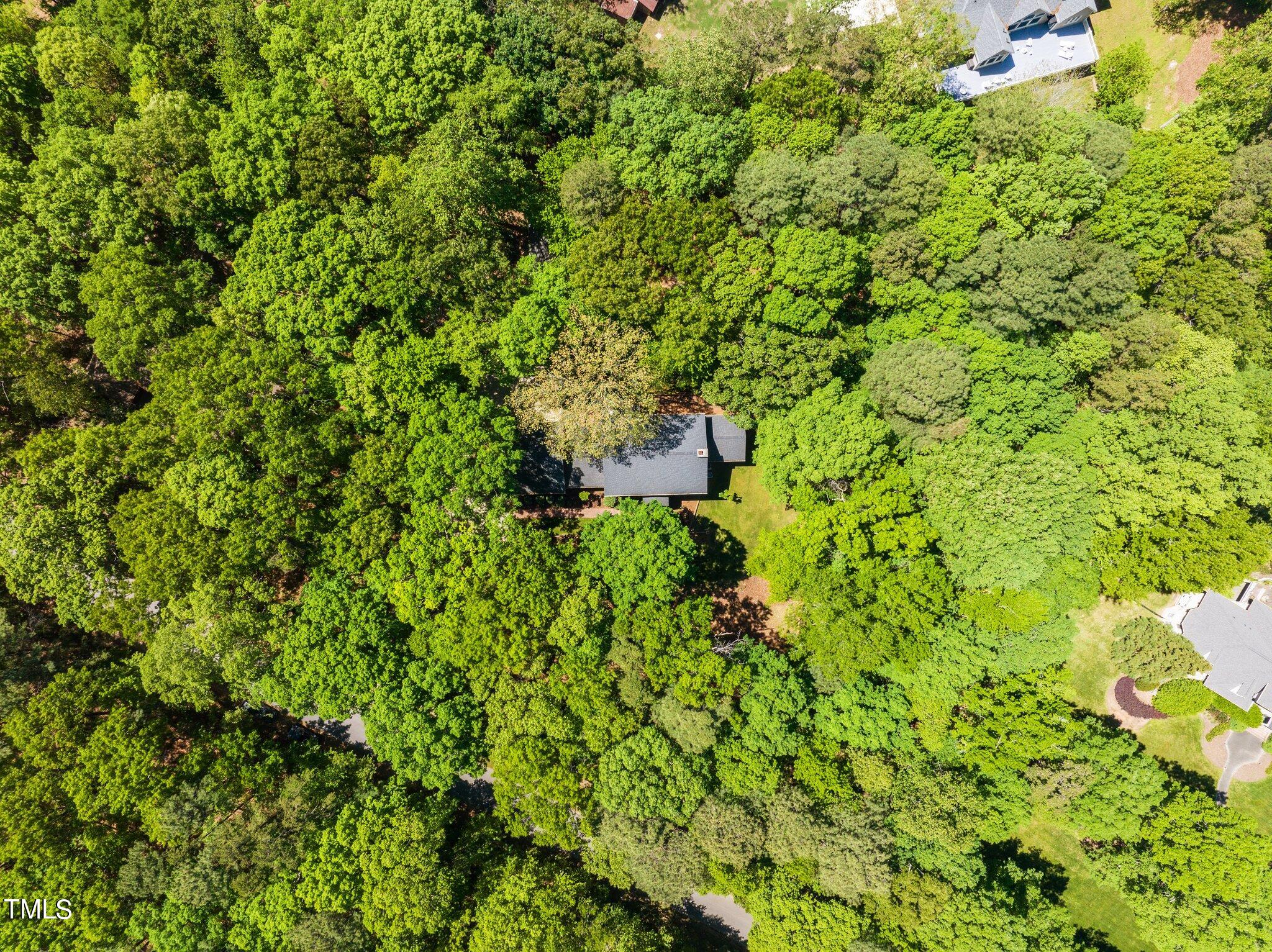 8413 Bournemouth Drive Raleigh, NC 27615 - Photo 91 of 94 32-web-or-mls-DJI_0979