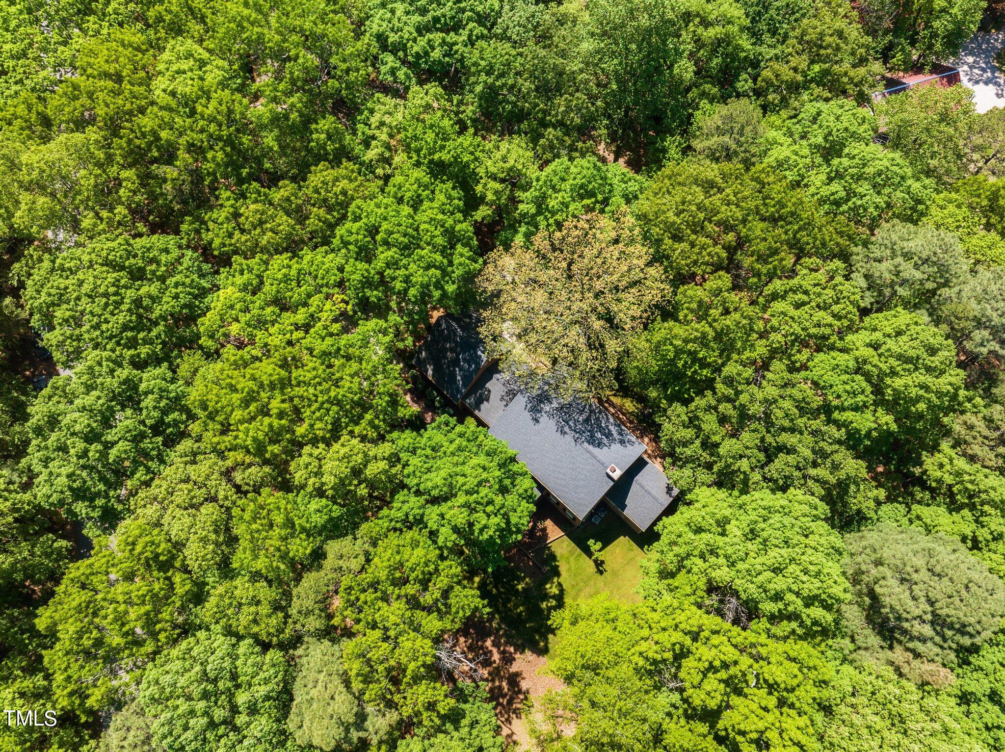 8413 Bournemouth Drive Raleigh, NC 27615 - Photo 93 of 94 34-web-or-mls-DJI_0981