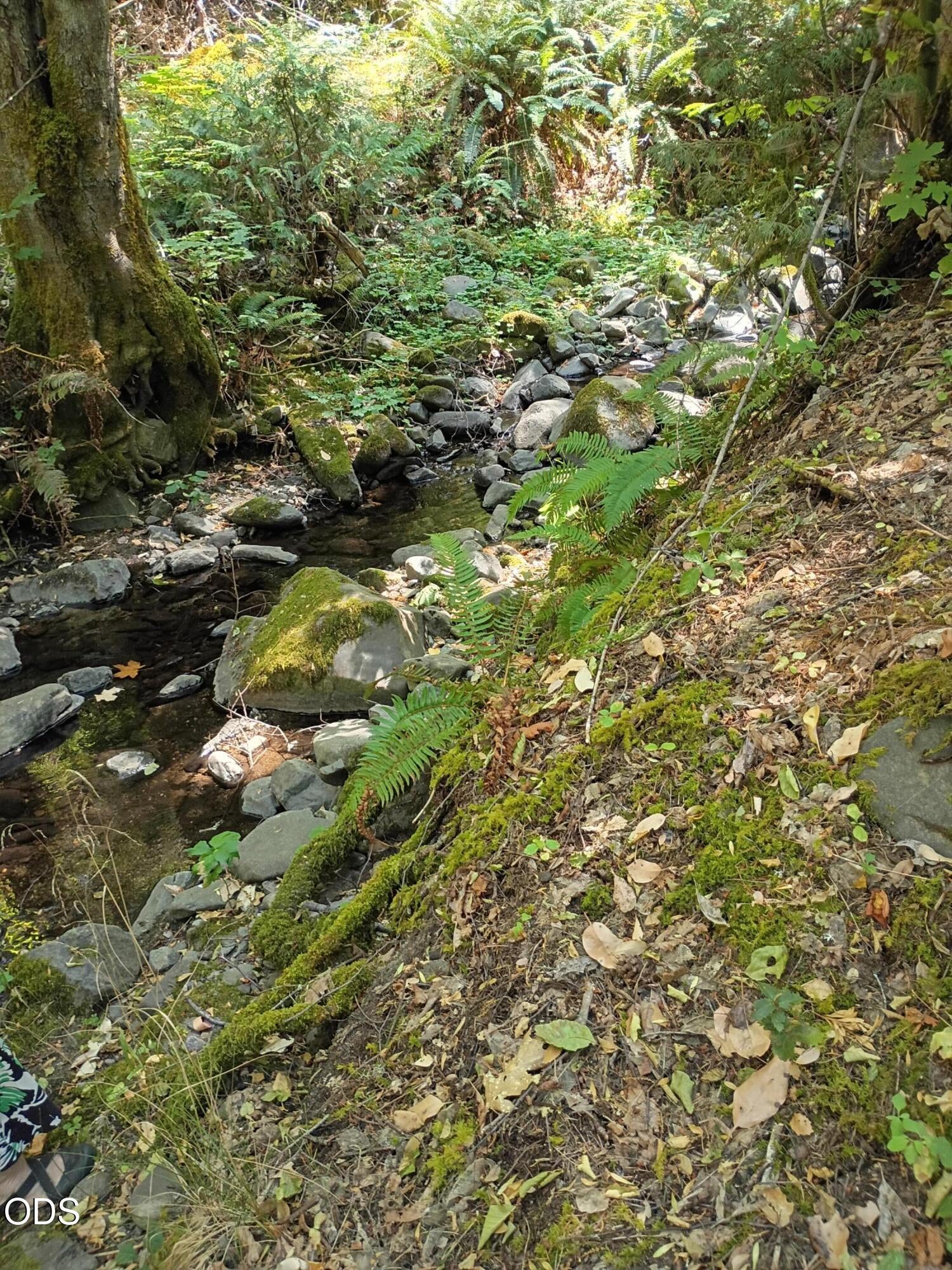 1407 Caves Camp Road Williams, OR 97544 - Photo 25 of 28 Gallery Image 25
