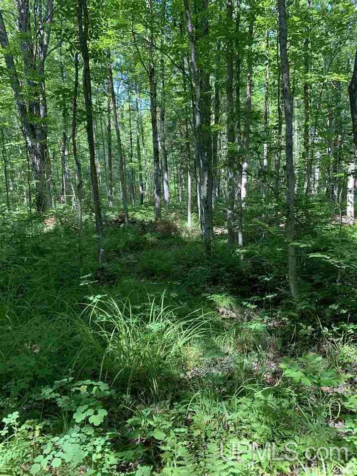 8683 West Niemi Road Saxon, WI 54559 - Photo 16 of 41 Gallery Image 16
