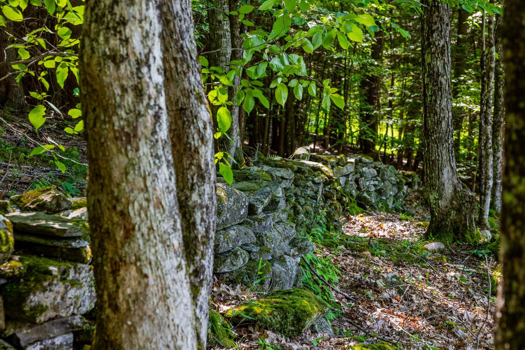 355 Kerwin Hill Road Norwich, VT 05055 - Photo 43 of 49