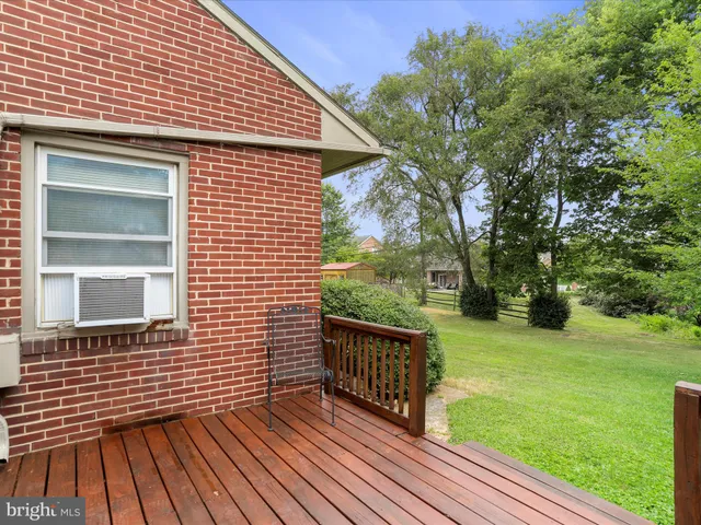 a view of a trees in a yard
