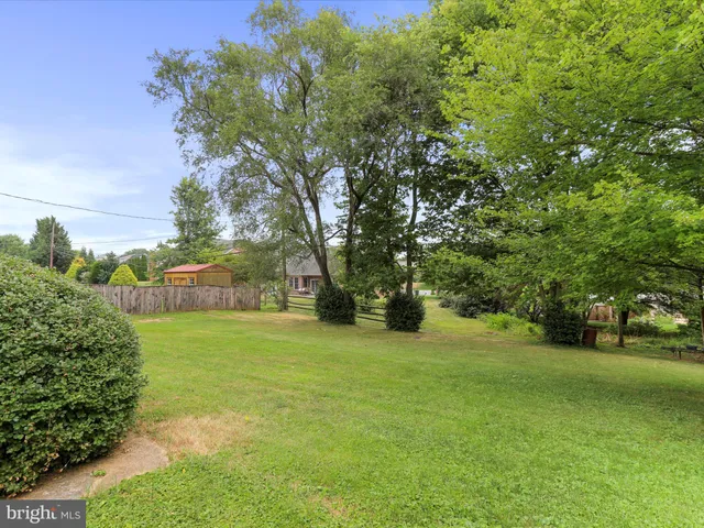 a view of a trees in a yard