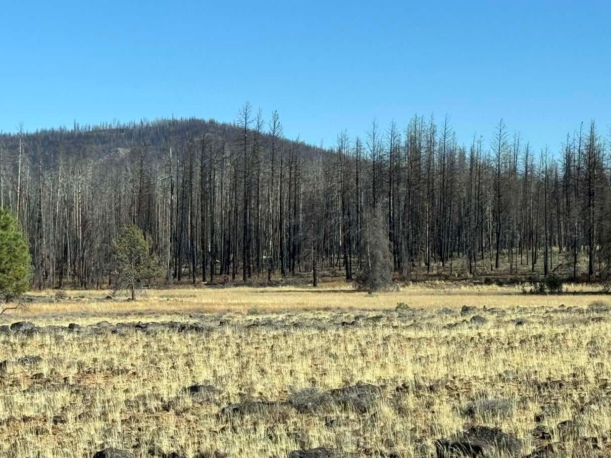 Bull Pine Road, Unit 500 400 300 Beatty, OR 97621 - Photo 6 of 49 IMG_4190