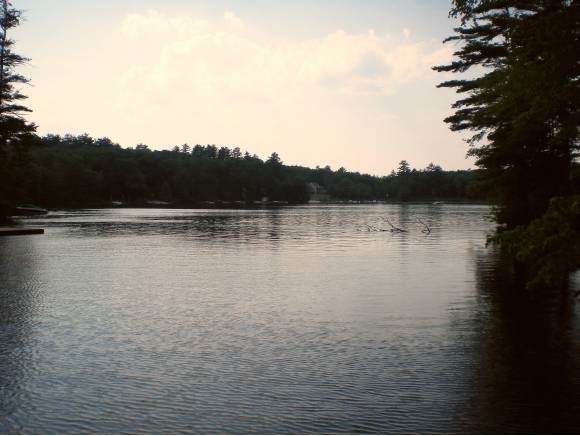 43 Tuftonboro Neck Road Tuftonboro, NH 03853 - Photo 11 of 19 Gallery Image 11