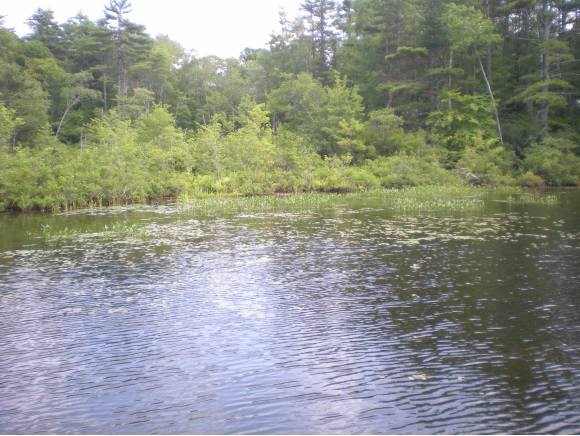 43 Tuftonboro Neck Road Tuftonboro, NH 03853 - Photo 12 of 19 Gallery Image 12