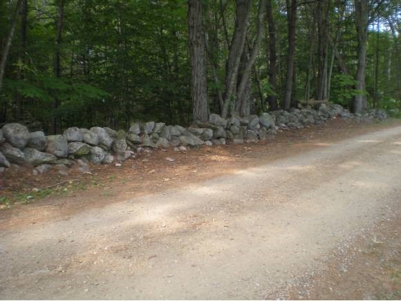 43 Tuftonboro Neck Road Tuftonboro, NH 03853 - Photo 14 of 19 Gallery Image 14