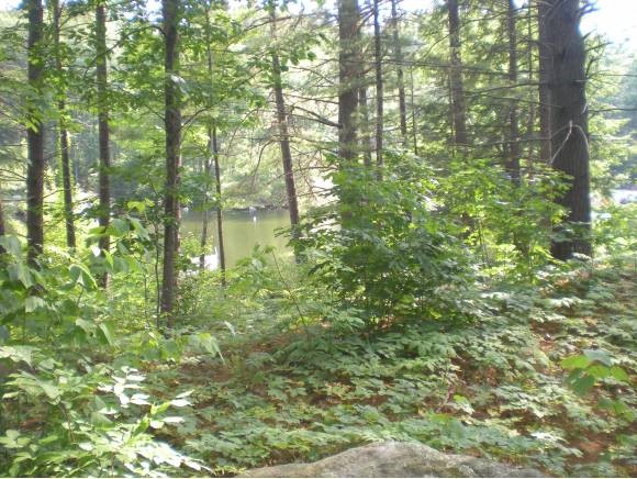 43 Tuftonboro Neck Road Tuftonboro, NH 03853 - Photo 15 of 19 Gallery Image 15