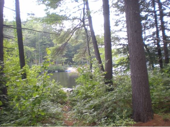 43 Tuftonboro Neck Road Tuftonboro, NH 03853 - Photo 16 of 19 Gallery Image 16