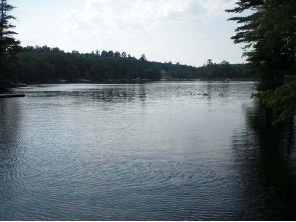 43 Tuftonboro Neck Road Tuftonboro, NH 03853 - Photo 17 of 19 Gallery Image 17