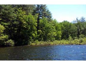 43 Tuftonboro Neck Road Tuftonboro, NH 03853 - Photo 3 of 19 Gallery Image 3
