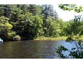 43 Tuftonboro Neck Road Tuftonboro, NH 03853 - Photo 5 of 19 Gallery Image 5