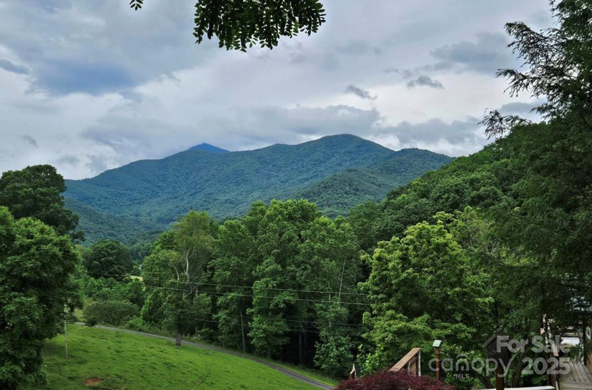 an aerial view of houses covered in trees
