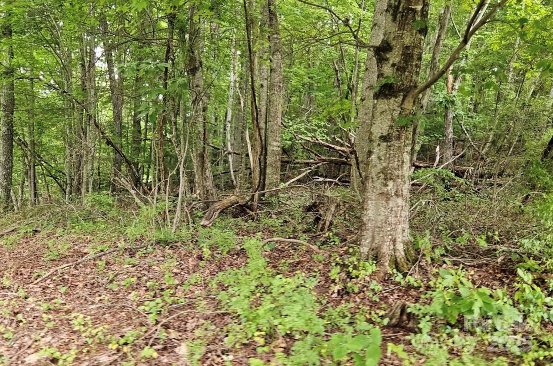 Lot 3 Mountain View Road Burnsville, NC 28714 - Photo 12 of 17