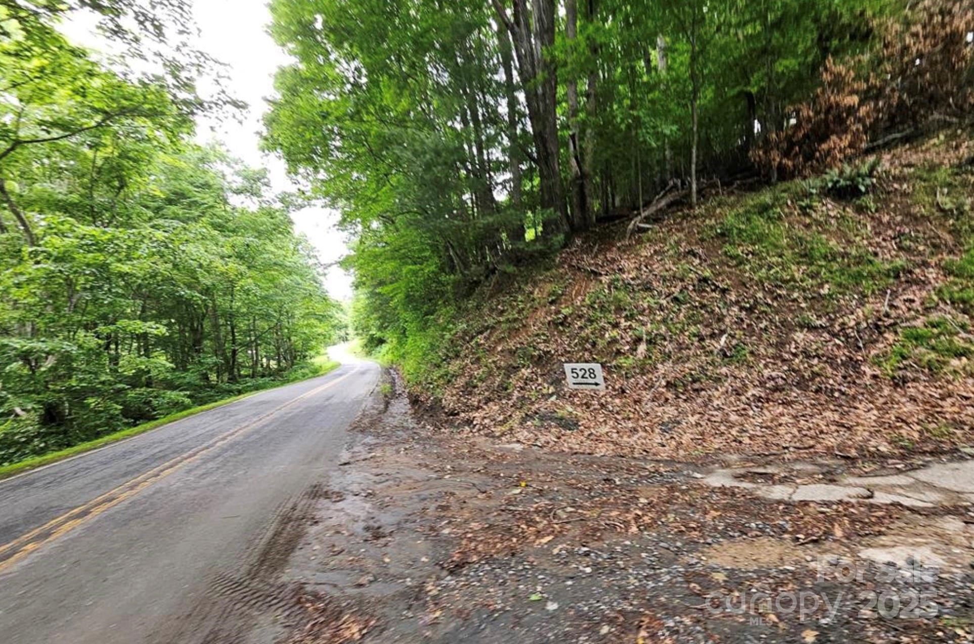 Lot 3 Mountain View Road Burnsville, NC 28714 - Photo 16 of 17 a view of a yard with plants and a trees