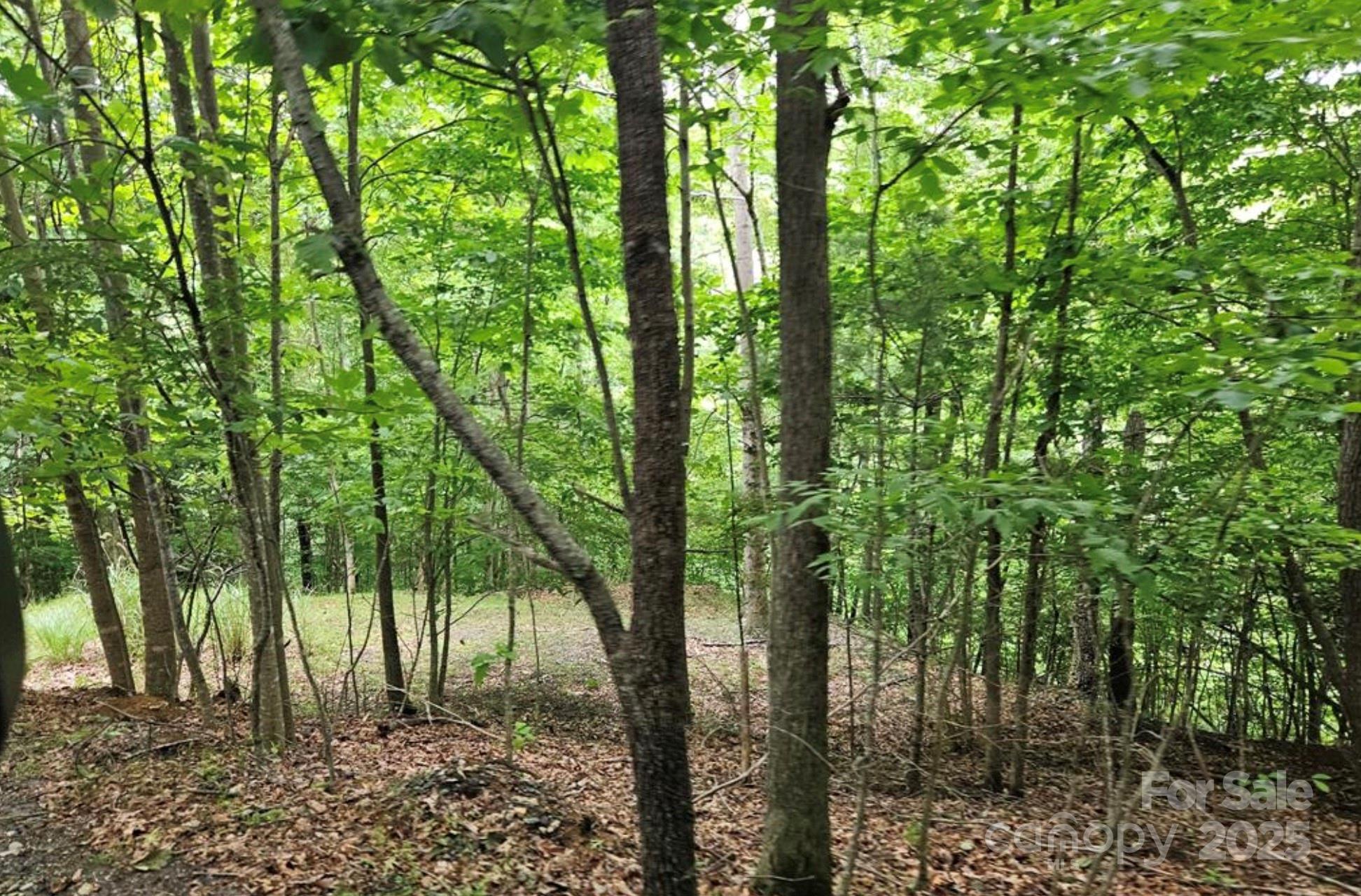 Lot 3 Mountain View Road Burnsville, NC 28714 - Photo 5 of 17 a green field with lots of trees