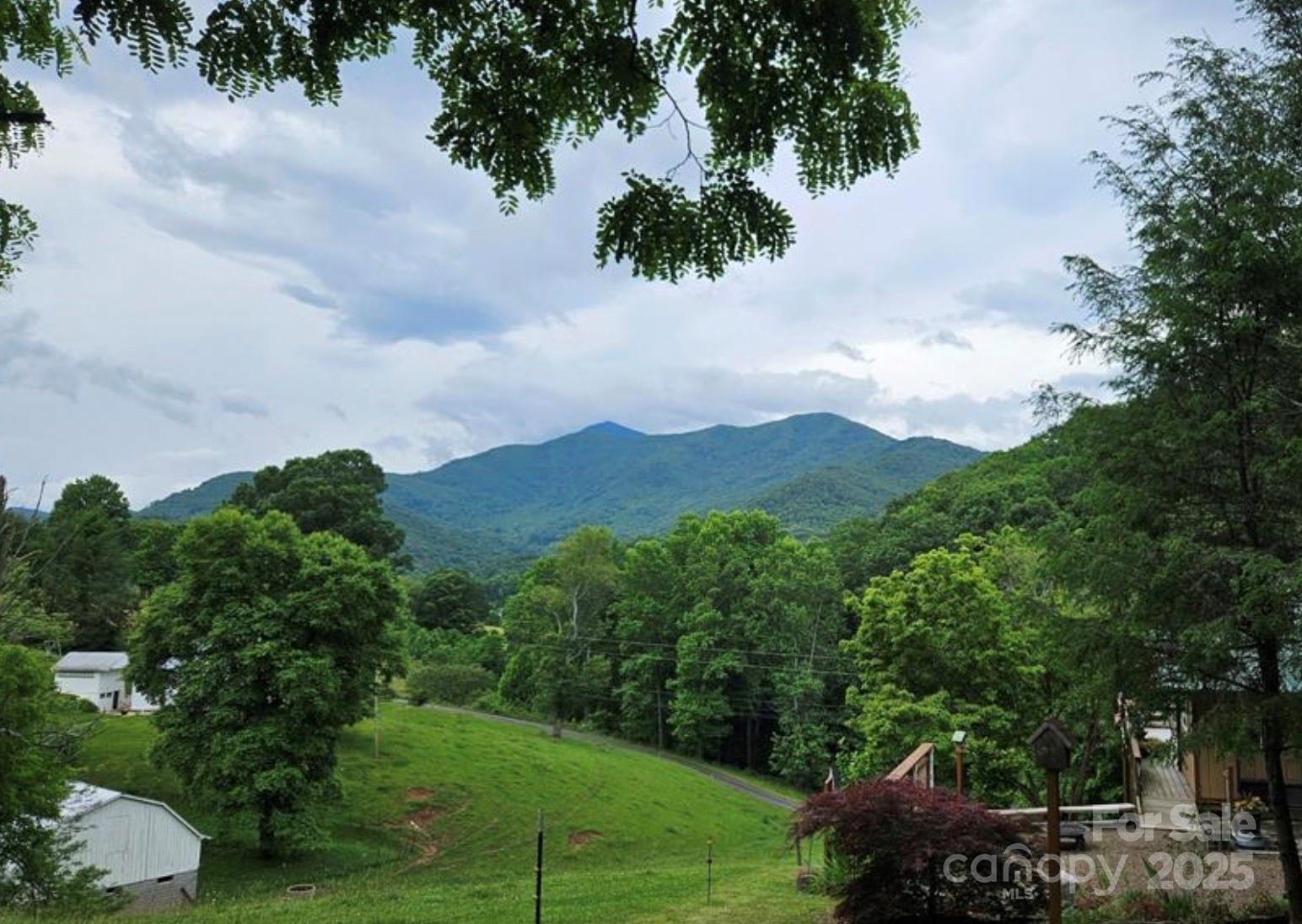 Lot 3 Mountain View Road Burnsville, NC 28714 - Photo 10 of 17 a view of a street with a yard and a fountain